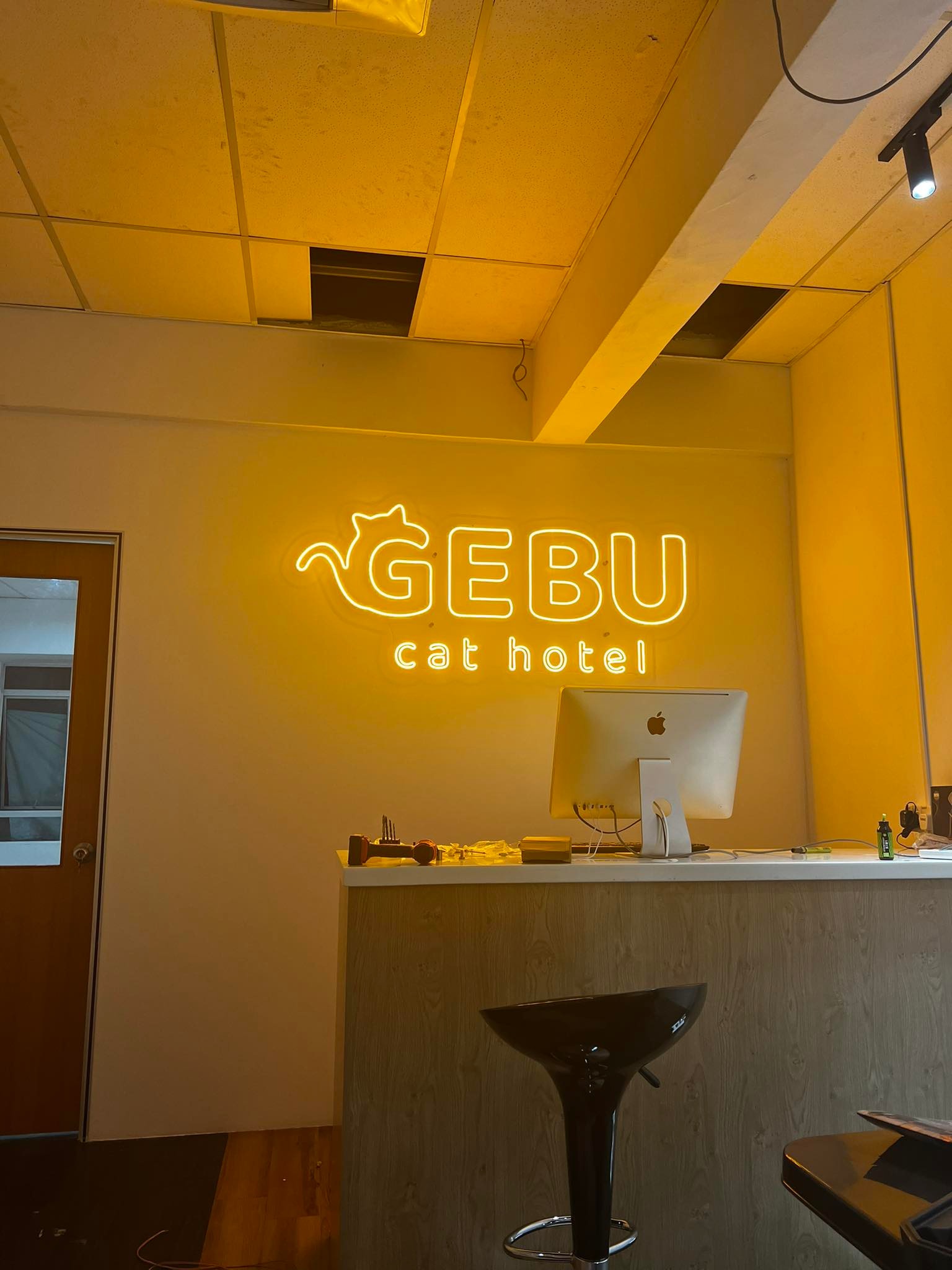 Gebu Cat Hotel – Premium, Affordable and Low Density Cat Hotel in Semenyih